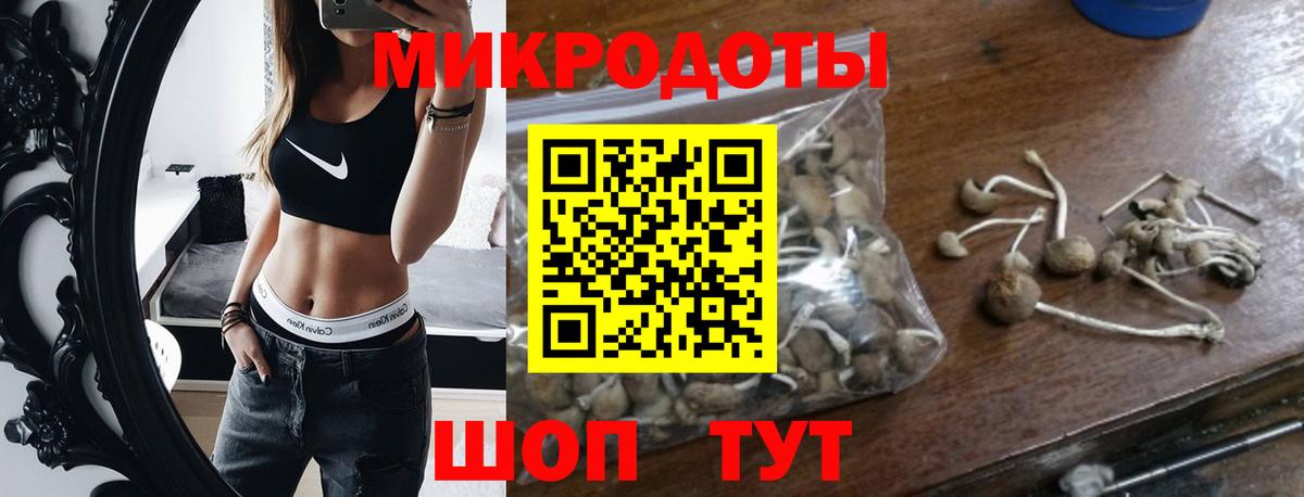 Аша  Псилоцибиновые грибы ЛСД  Вход с VPN 