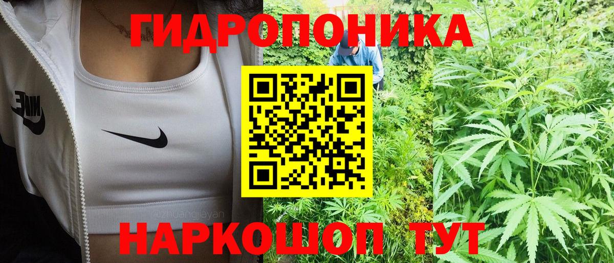 Аша  Конопля семена  Вход с VPN  Шишки марихуана Bruce Banner  Бошки марихуана гибрид 